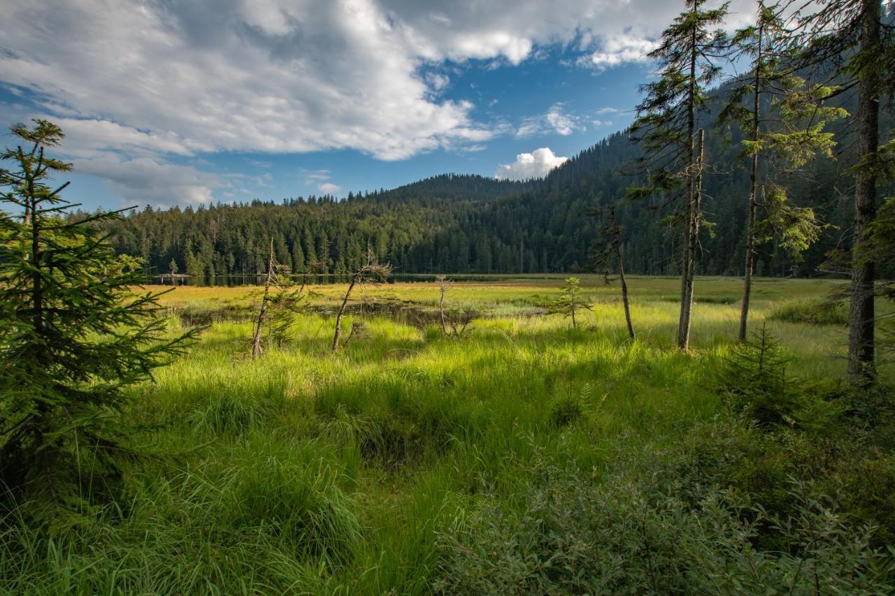 Wander Und Aktiv Hotel Roesslwirt Lam Esterno foto